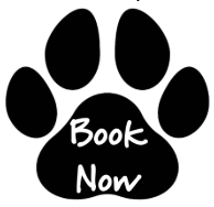 Book Now